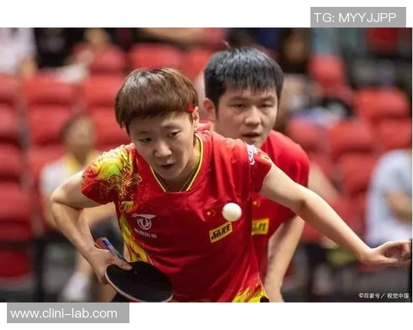 杭州乒乓球队在最新状态排行榜中荣登第七名展现出强劲实力与潜力