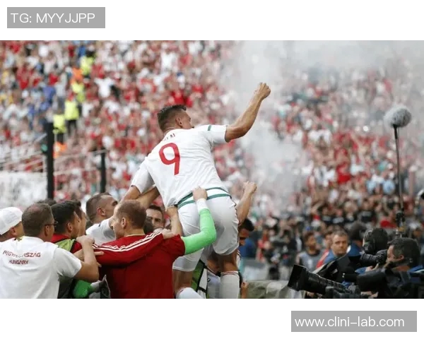 冰岛对决克罗地亚竞彩039分析与预测精彩赛事不容错过 冰岛对决克罗地亚竞彩039分析与预测精彩赛事不容错过