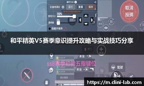 VSport体育官网入口