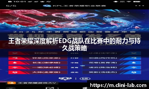 Vsport体育