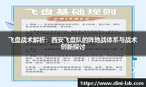 VSport体育官网入口