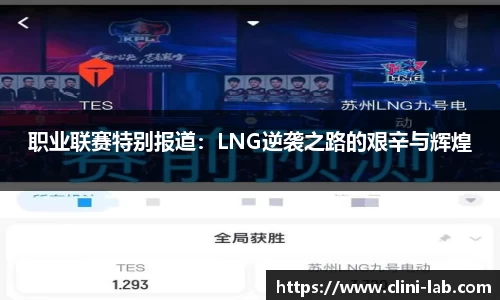 vsports-胜利因您更精