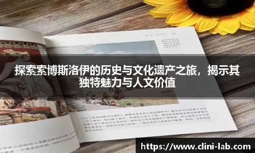 VSport体育官网入口