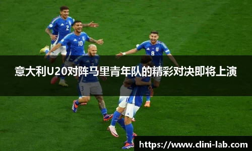 VSport体育官网入口