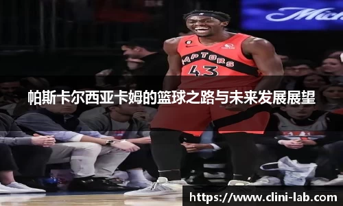 vsports-胜利因您更精