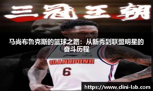 VSport体育官网入口