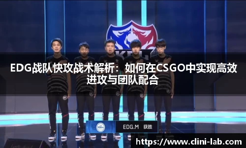 VSport体育官网入口
