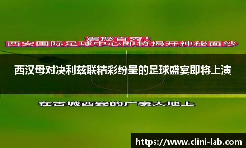 VSport体育官网入口